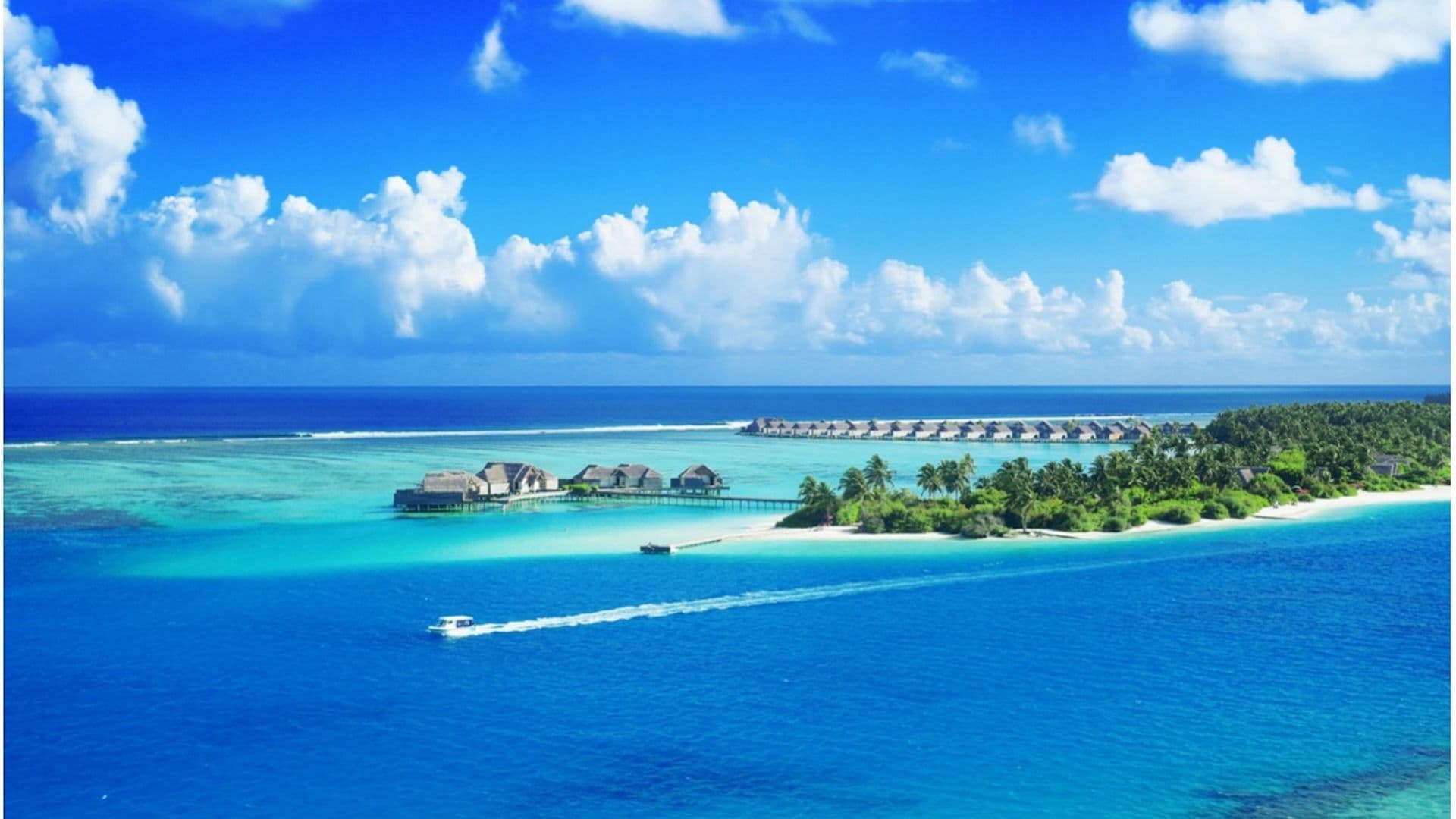 Maldives Honeymoons - Section 1