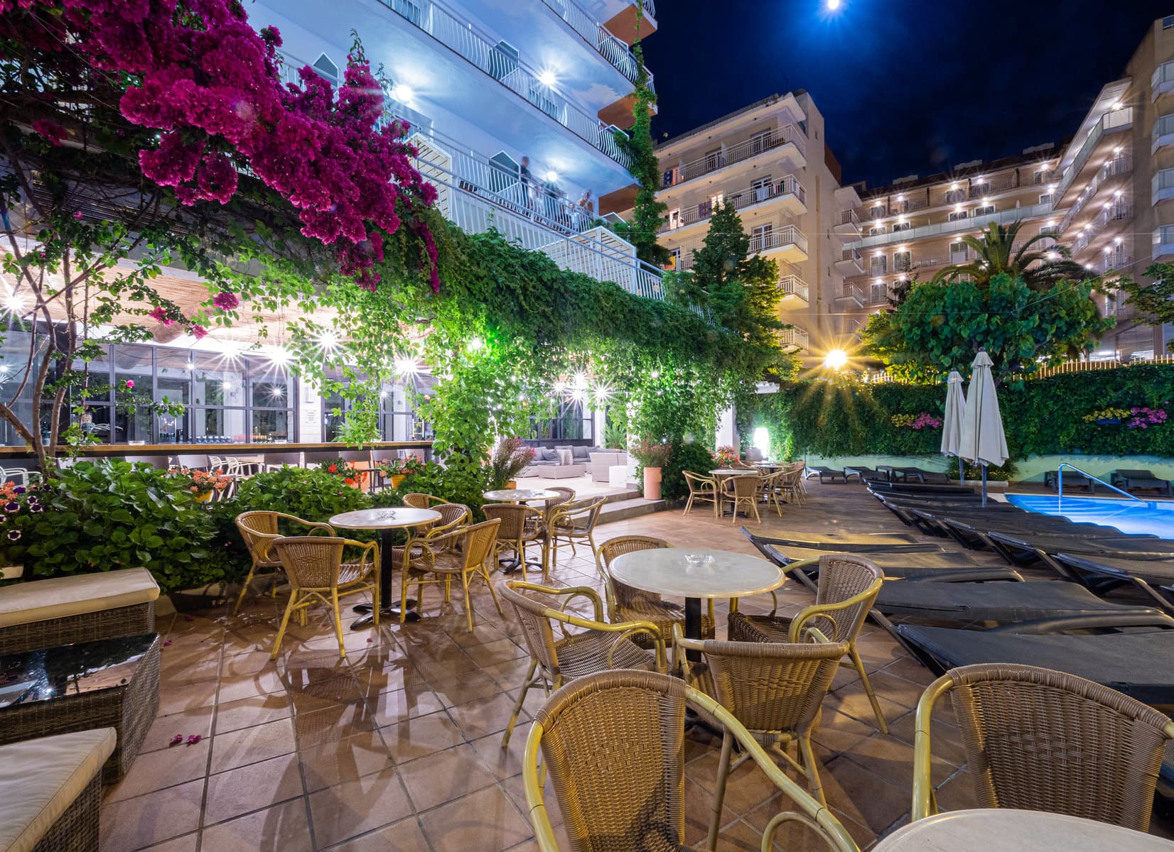 Hotel Image 4
