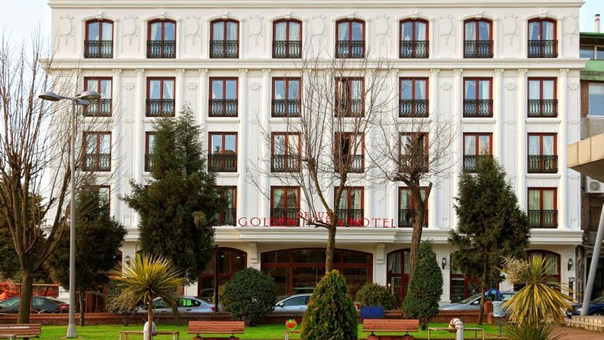 Deluxe Golden Horn