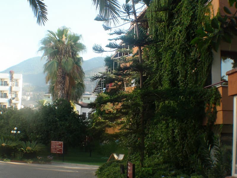 Hotel Image 4